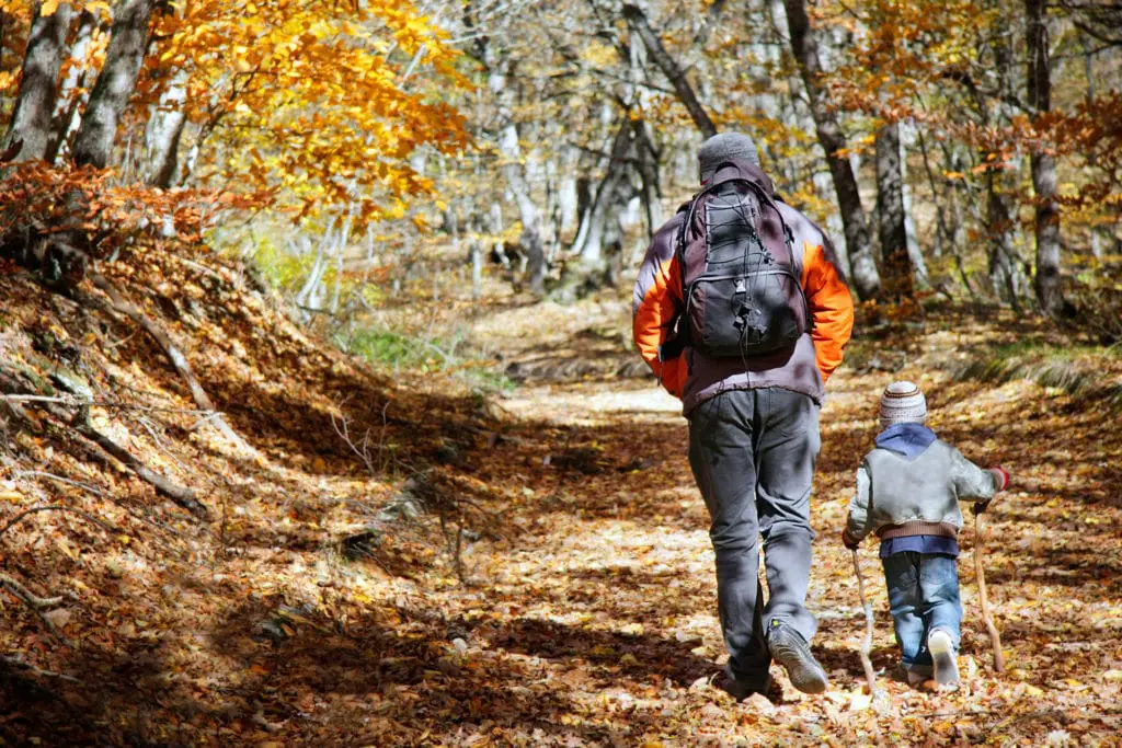 toddler hiking with his dad