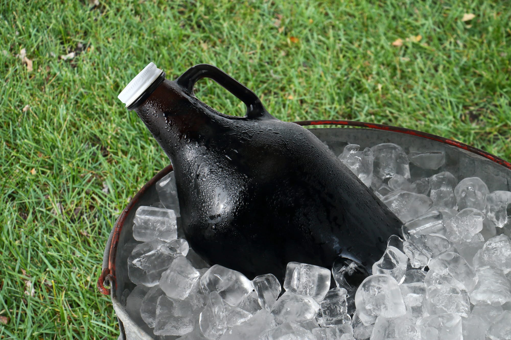 growler in a bucket of ice