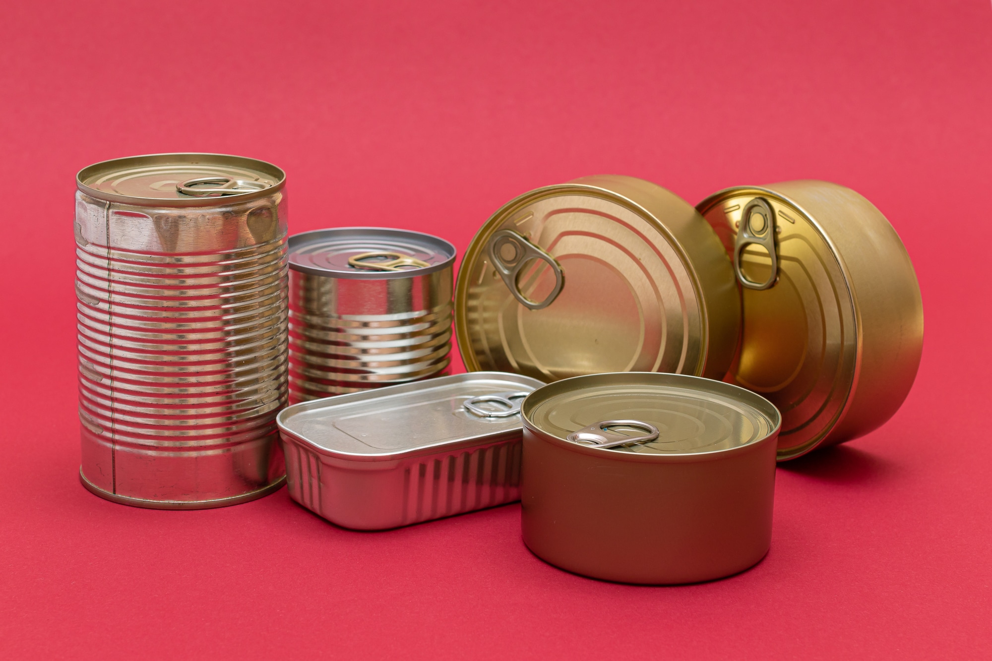 can-you-bring-canned-food-on-a-plane-travel-gear-discounts