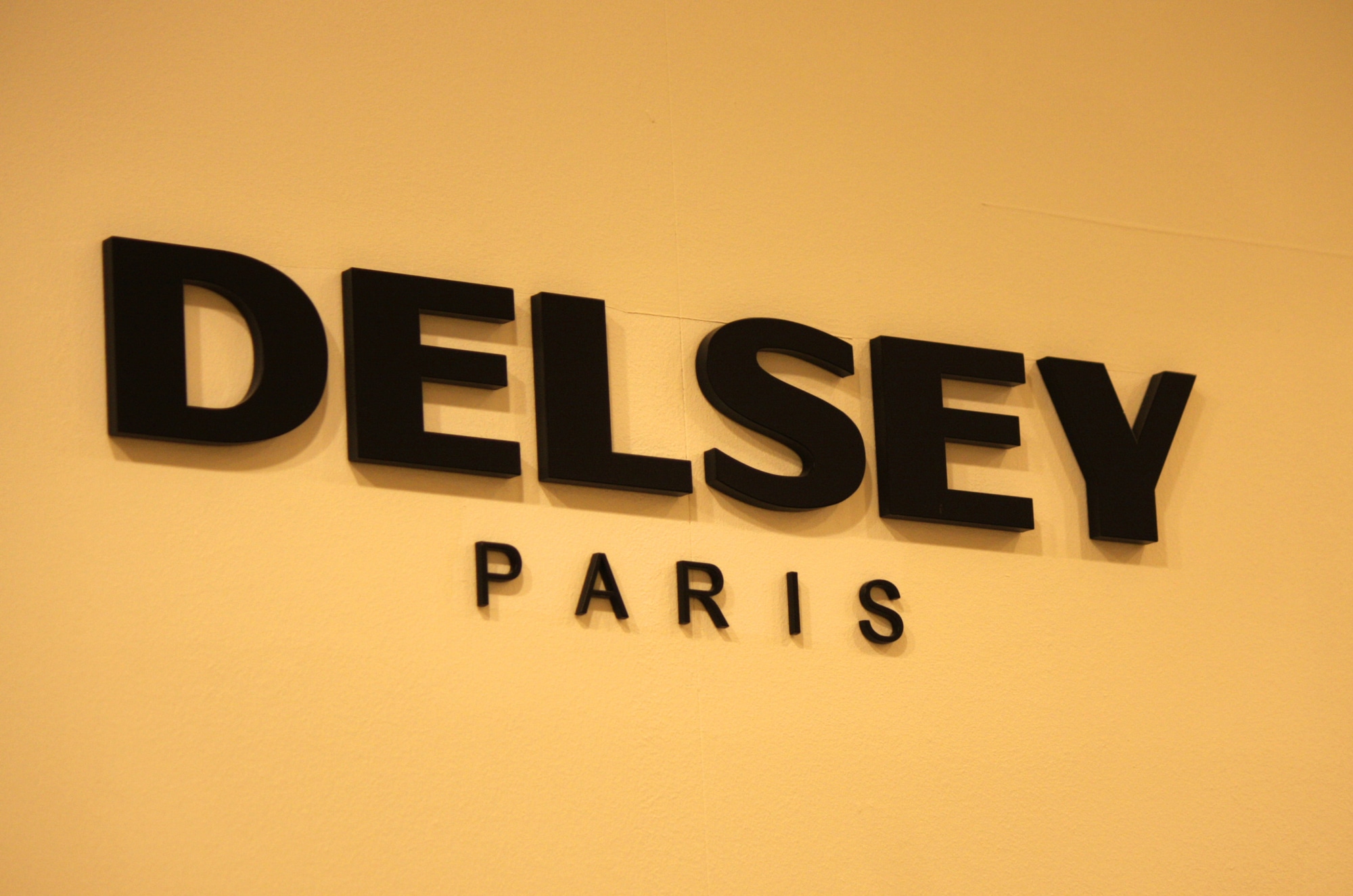 Delsey luggage